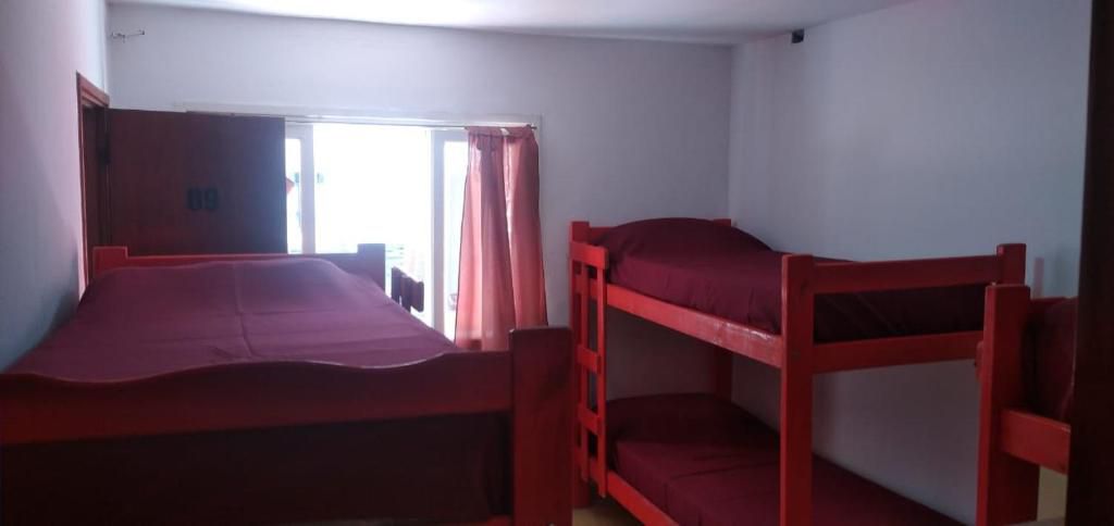 Imagen de la diapositiva